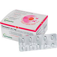 Клавасептин 62,5 мг (10 табл), антибактериальный препарат