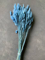 Лагурус блакитний (100 гр)