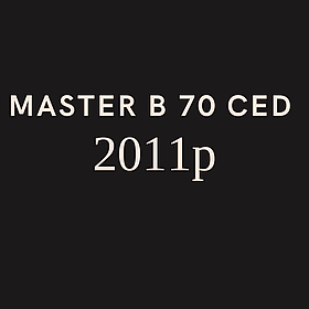 Запчастини для дизельної гармати Master B 70 CED 2011р.