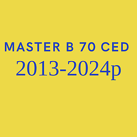 Запчастини для дизельної гармати Master B 70 CED 2013-2024р.