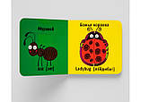 Книга-картонка. Веселі крутилки. Букашки, фото 2