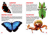 Велика книжка. Комахи., фото 2