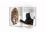 Велика книжка. Дикі кішки, фото 2
