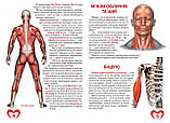 Велика книжка. Анатомія людини, фото 2