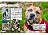 Світ навколо нас. Собаки, фото 2