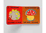 Книга-картонка. Веселі крутилки. Рахівниця, фото 3