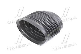 Патрубок повітряного фільтра Daf XF95, XF 105 (Tempest, Тайвань)