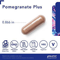 Pure Encapsulations Pomegranate Plus / Екстракт граната антиоксидант для здоров'я судин 120 капсул BX593, фото 4