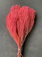 Брюмелія суха яскраво рожева (90 гр)