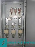 Ящик із рубильником і запобіжниками ЯРП-100 IP54, фото 2