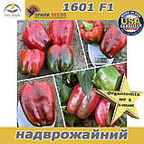 Ультра-ранній перець 1601 F1, 500 насінин, ТМ Spark Seeds (США), фото 2