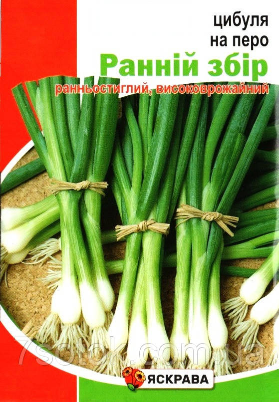 Насіння цибулі на перо Ранній збір, ТМ Яскрава, 8г