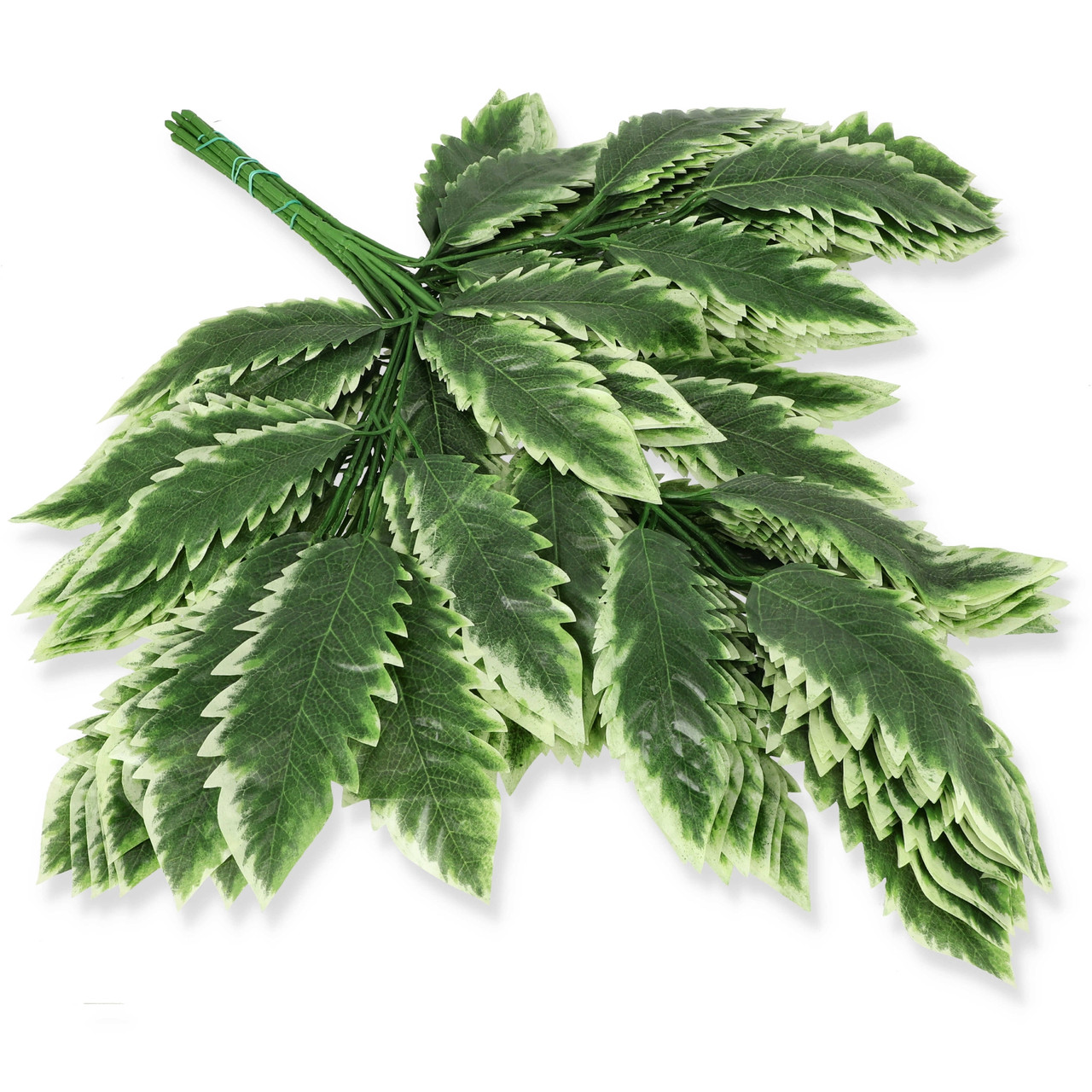 lisc_x15_cf60_b_1.jpg