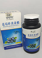Таблетки ЧОРНИЦІ З ЛЮТЕІНОМ (Blueberry Lutein Ester) для покращення зору. 120 пігулок по 0,45 г.