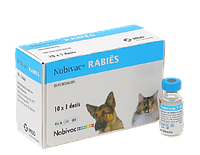 Вакцина Нобівак Rabies 1доза/1мл (проти сказу)