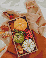 Картины по номерам "Осенний подарок" раскраски по цифрам. 40*50 см.Украина