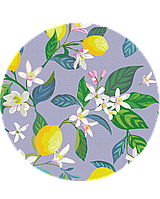 Круглые картины по номерам "Цветение лимона (Размер L)" раскраски по цифрам на подрамнике .40 см.Украина
