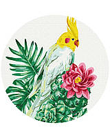 Круглые картины по номерам "Тропический попугай (Размер L)" раскраски по цифрам на подрамнике .40 см.Украина