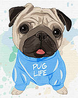 Картина-розмальовка за номерами Яскравий Мопсик 48x60 см на підрамнику акрил для дорослих антистрес