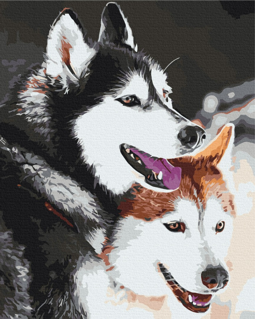 Картина за номерами "Хаскі" 48х60 см на полотні з підрамником, акрил. Набір для творчості та подарунок, фото 1