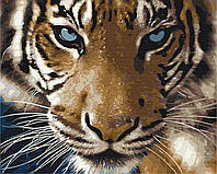 Картины по номерам "Взгляд тигра" раскраски по цифрам.40*50 см.Украина
