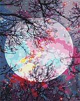 Преміум картини за номерами "З краєвидом на Місяць" розмальовки за цифрами.40*50 см.Україна