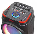 Акустична система XPRO GZ-X910 10'x2 30W AUX USB TF мікрофон (MER-15723_3554), фото 7
