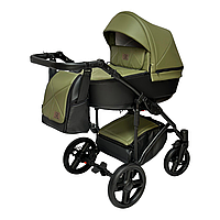 Коляска 2 в 1 Baby Pram Berta eco