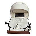 Коляска 2 в 1 Baby Pram Berta eco, фото 5