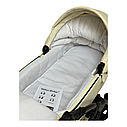 Коляска 2 в 1 Baby Pram Berta eco, фото 6