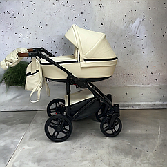 Коляска 2 в 1 Baby Pram Berta eco