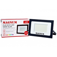 Прожектор светодиодный MAGNUM FL12 ECO LED 100Вт slim 6500К IP65