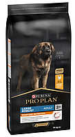 Purina Pro Plan Large Robust Adult 2+ Everyday Nutrion 0,5кг (на вагу) - корм для собак великих порід з куркою