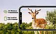 Фотоловичка для дикої природи та охорони Suntek HC-950PRO 4G 36MP 4K, фото 9