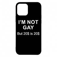 Чехол для iPhone 12 I'm not gay, but 20$ is 20$