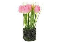 Декоративная композиция Тюльпаны с искусственным мхом , материал-пластик, 22см, цвет-розовый с зеленым 714-132