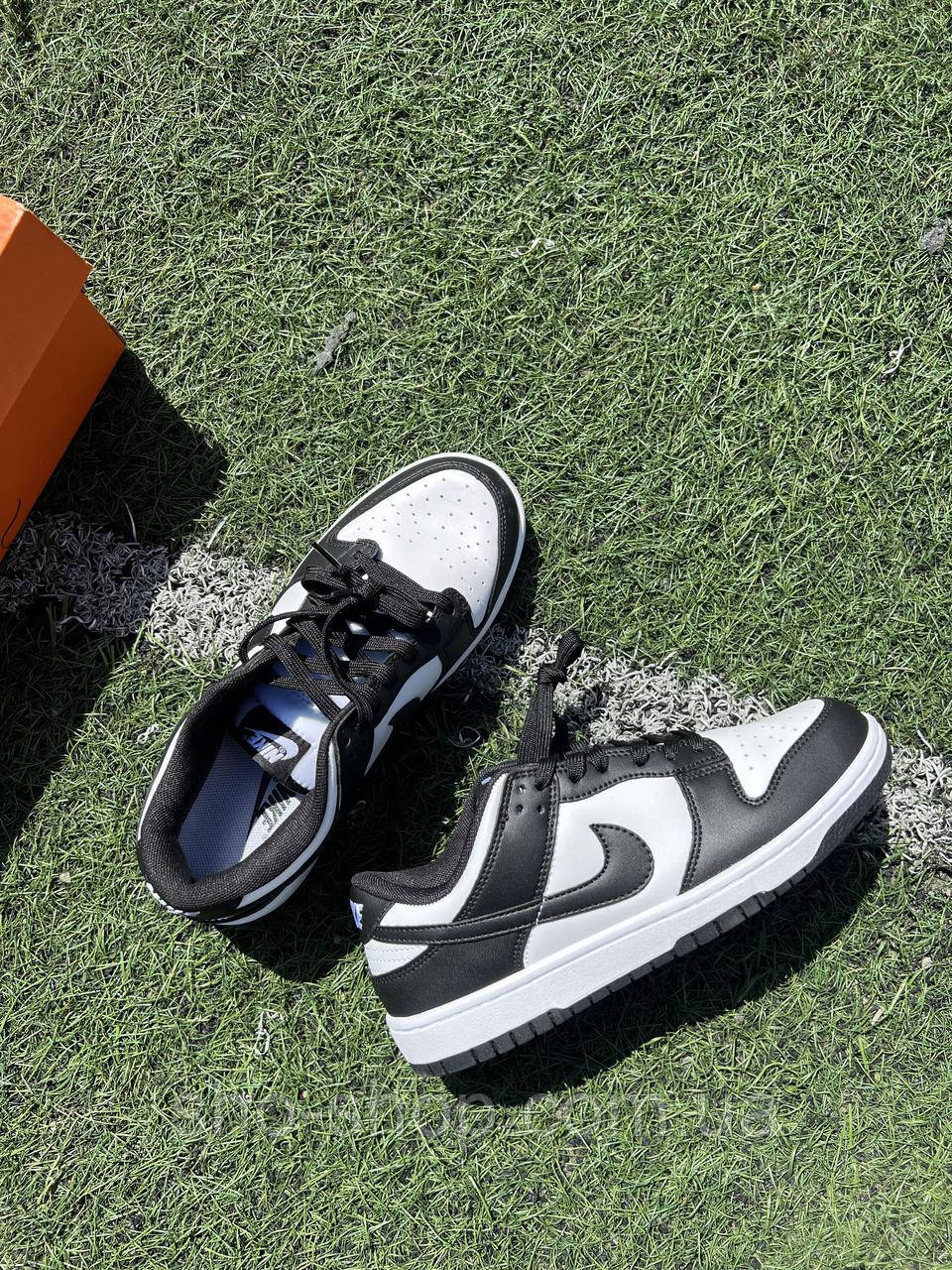 Кросівки Nike sb dunk low black/white