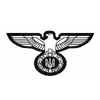 Шеврон планка Римський орел з тризубом чорно-білий Шеврони на замовлення Військові шеврони на липучці ЗСУ (AN-12-503)