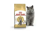 Корм для взрослых котов Royal Canin British Shorthair Adult 10.0 кг