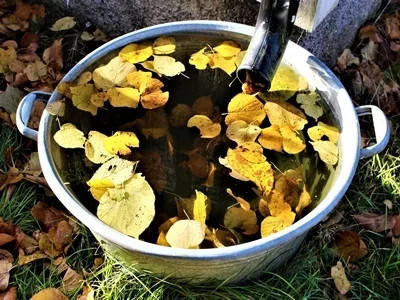 Чи можна пити дощову воду?