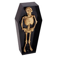 Танцующий скелет в гробу