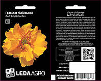 Семена Цветы Гравилат чилийский леди Стратхеден 0,1г