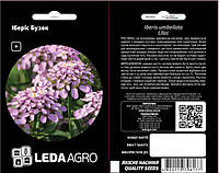 Семена Цветы Иберис сиреневый 0,5г