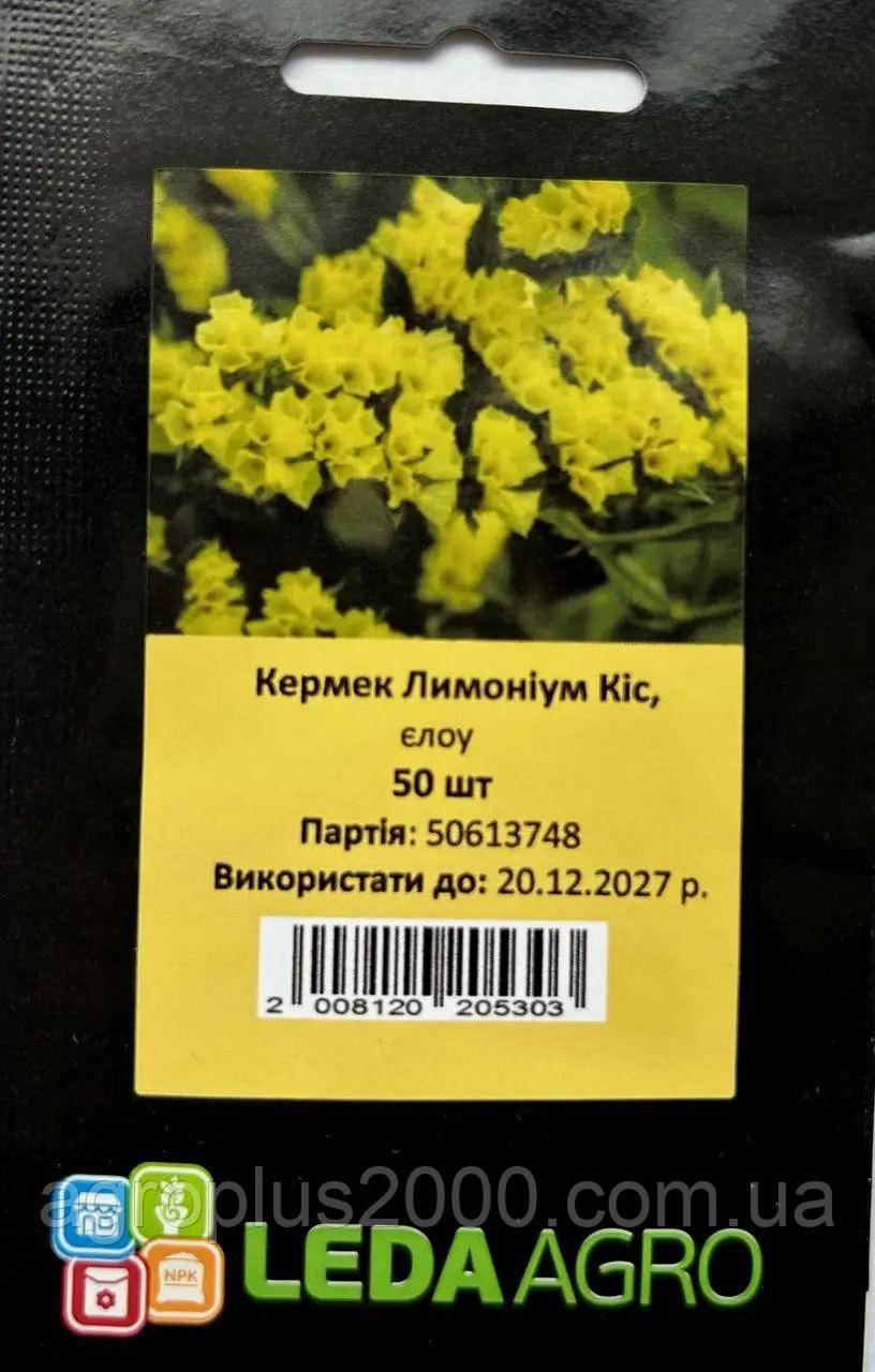 Насіння Кермек (статице) Qis( Кіс) Жовтий 50 насінин Pan American Садиба Центр