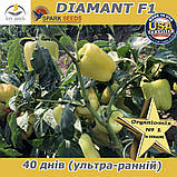 Перець солодкий, ранній ДИАМАНТ F1 / DIAMANT F1, проф. пакет 500 насінин ТМ Sark Seeds(США), фото 2
