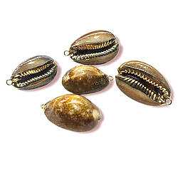 Підвіска, кулон, Морська мушля, з Гальванічним покриттям, розмір 28х18мм, колір Натуральний