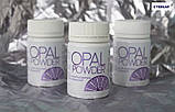 Сухий шампунь OPAL POWDER 60 мл, фото 2