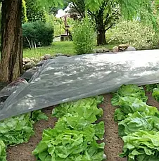 Агроволокно 42 г/м2 1,6 х100м "Shadow" (Чехія) 4% Чеське агроволокно біле, фото 6