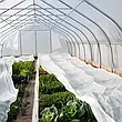 Спанбонд 23 г/м2 1,6 х 50 м "Shadow" біле покривне агрополотно (Чехія) 4%, фото 7