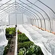 Агроволокно 50 г/м2 1,6 х 100м.біле "Shadow" (Чехія) 4% нетканий спанбонд для укриття на зиму рослин, фото 2